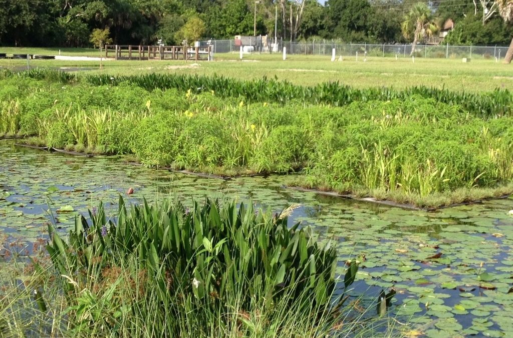 New Statewide Stormwater Rule Strengthens Water Quality Protections