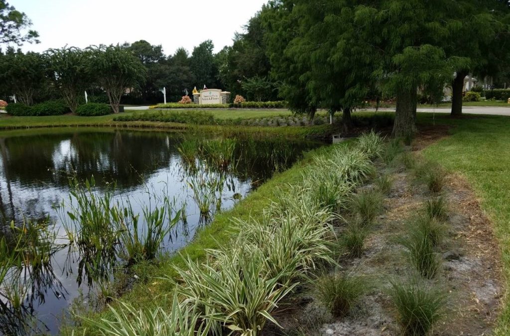 New Stormwater Initiatives Support Public and Private Water Quality Improvements