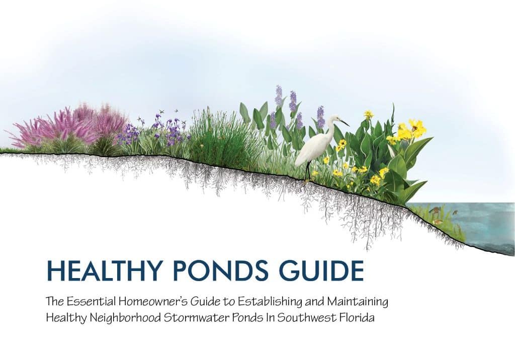 Healthy Ponds Collaborative Advances Stormwater Pond Management
